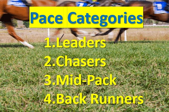  4 pace categories